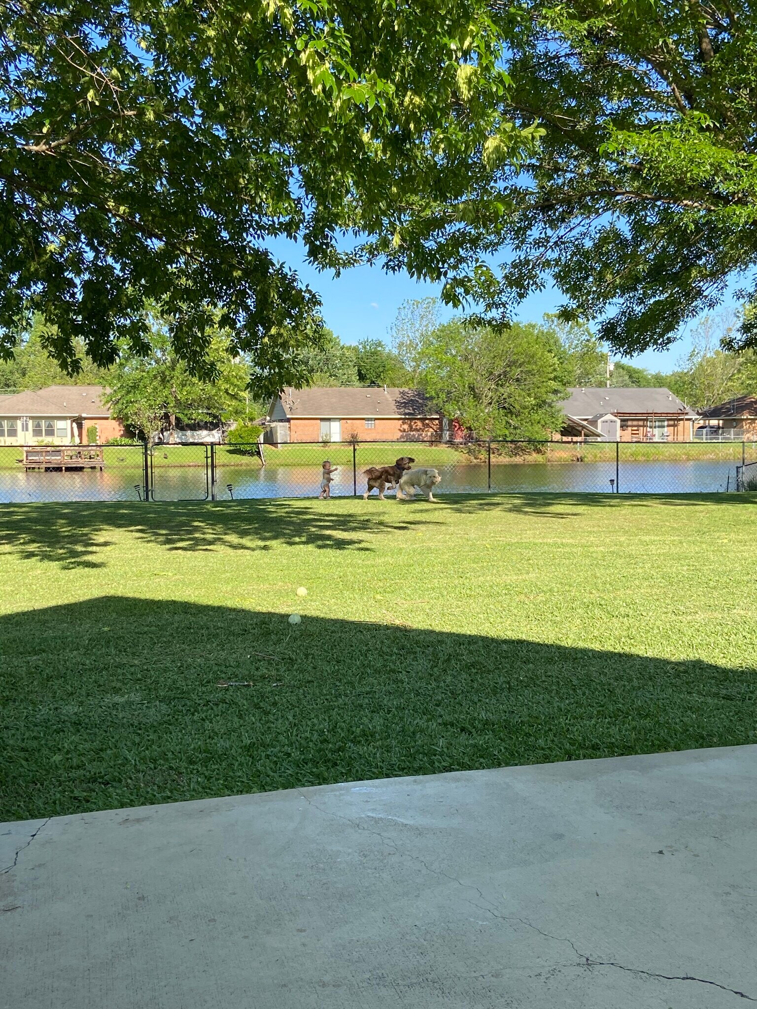 Building Photo - 54 N Butternut Dr