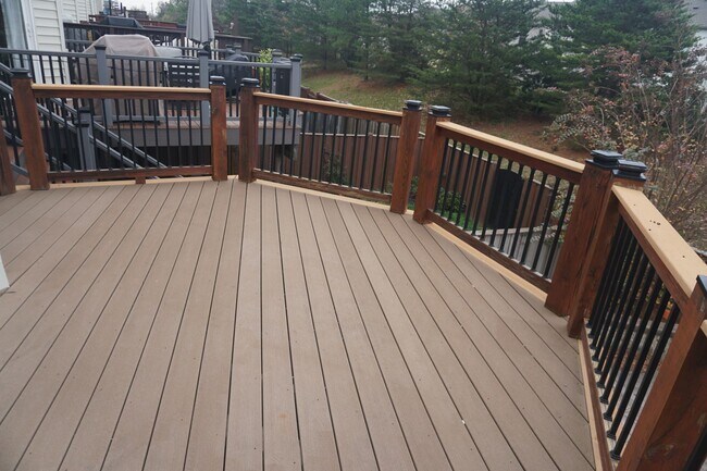 Deck - 23460 Twin Falls Ter