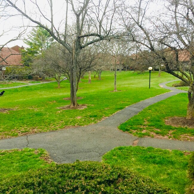 Building Photo - 508 Auten Rd