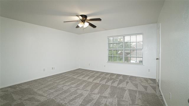Building Photo - 4006 Collin Ct
