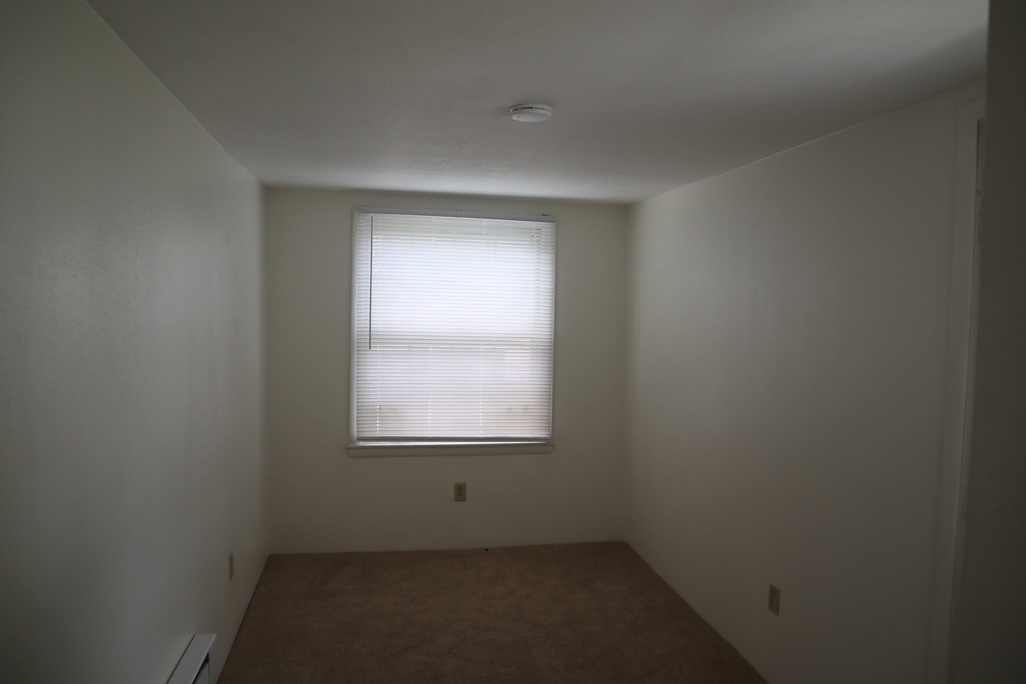 Building Photo - 241 Ash St