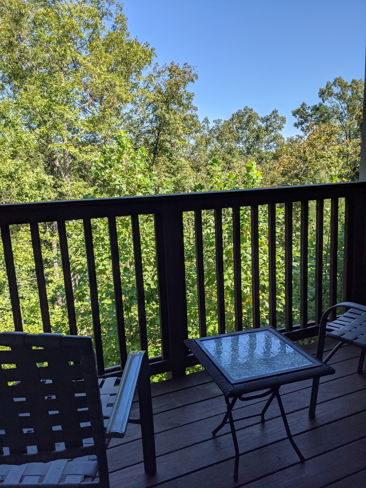 Back deck overlooking lake in winter, woods in summer - 122 Harts Cove Way