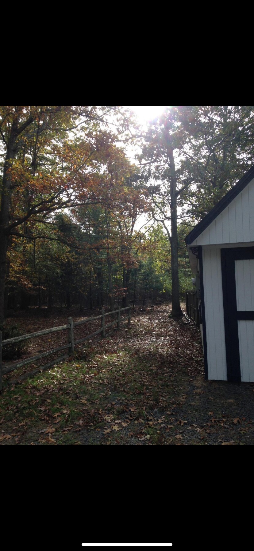 Building Photo - 16 Landsberger St