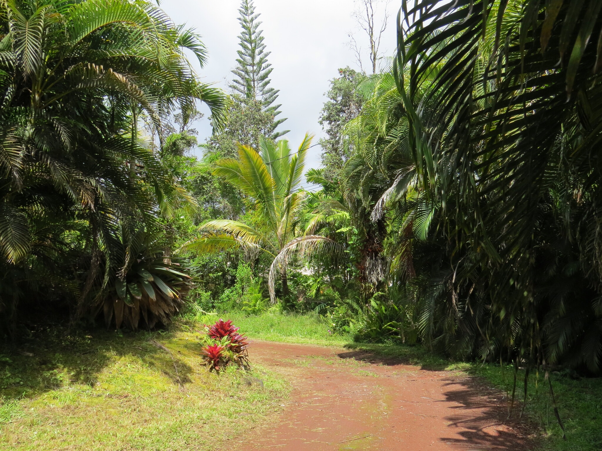 Building Photo - 15-1414 24th Ave