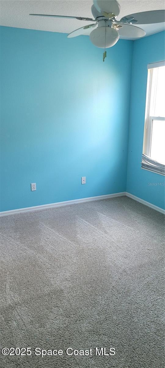 Building Photo - 1721 Saffron Plum Ln