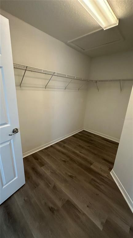 Building Photo - 1232 Alapaha Ln
