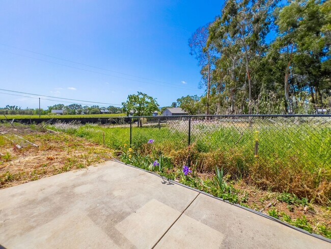 Building Photo - Charming Country Studio with Vineyard Views – New Build!