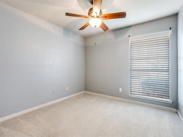 Building Photo - 209 Ginger Ln