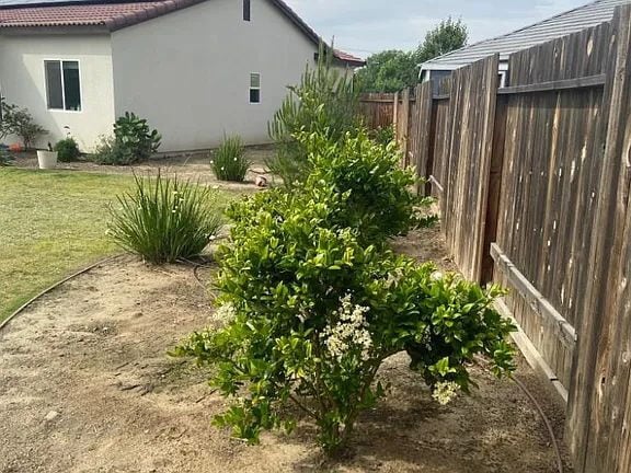 Building Photo - "Charming 3-Bed Oasis with 2 Baths & 1749 Sq Ft of Comfort in Bakersfield!"