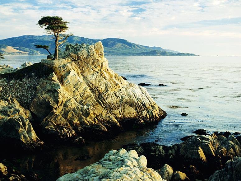 The Lone Cypress in Pebble Beach - 3256 Martin Rd