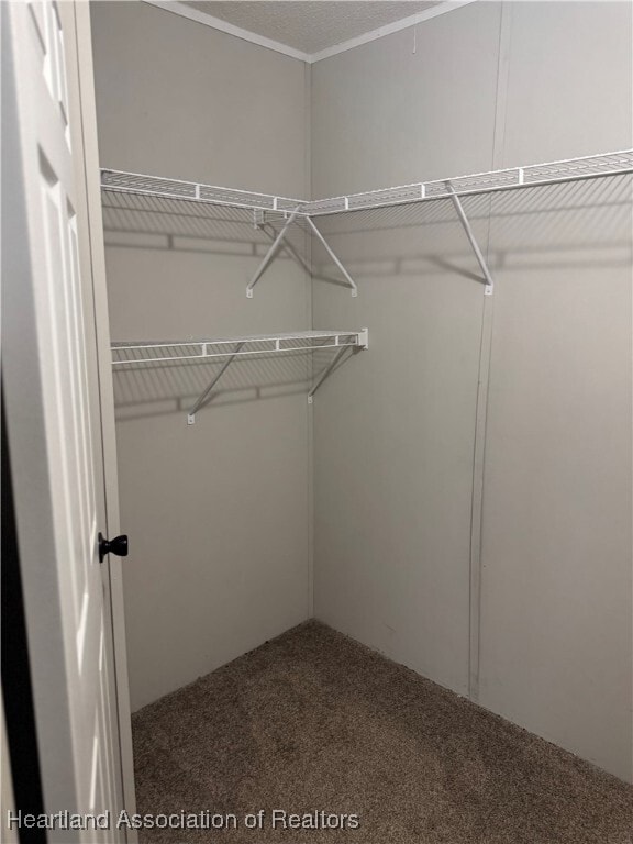 Building Photo - 9127 Morgan Path