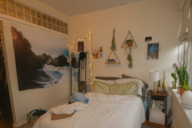 Building Photo - 56 Egmont St