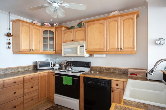 Building Photo - 2 bedroom 1 bathroom Furnished Oceanfront ...