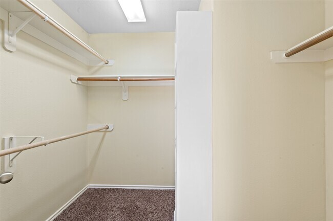 Building Photo - 3326 Palston Bend Ln