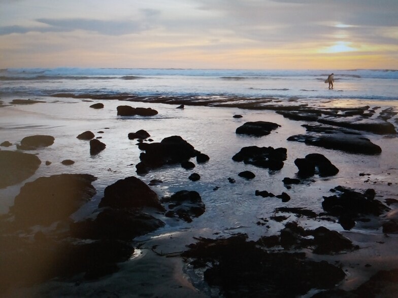 Building Photo - 775 Neptune Ave