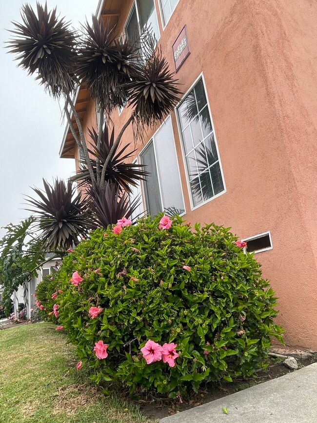 628 S Pacific Coast Hwy 628 S Pacific Coast Hwy Redondo Beach CA