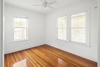 Building Photo - 1281 Walnut St