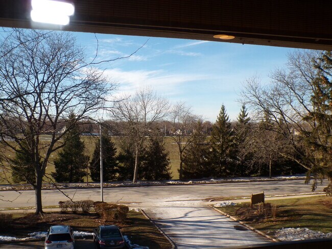 Building Photo - 809 S Dwyer Ave