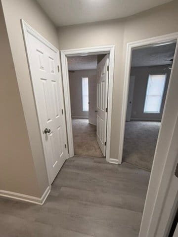Building Photo - 302 Wapiti Dr