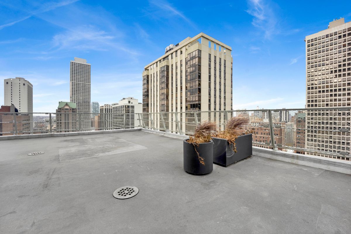 Building Photo - 1000 N Lake Shore Dr