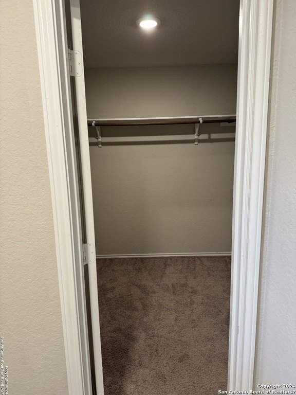 Building Photo - 10799 Giacconi Dr