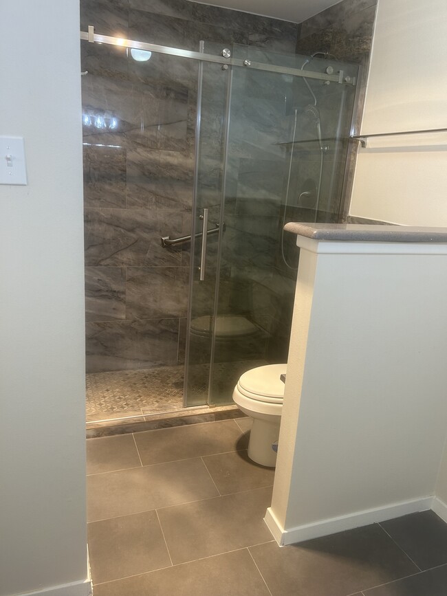 Master Walk-in Shower - 14435 Valley Hi Cir