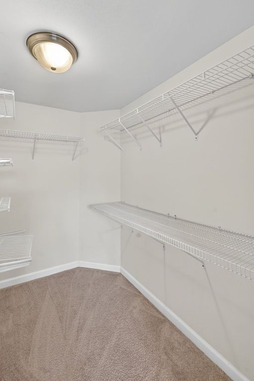 Building Photo - 1313 Piedmont Cir