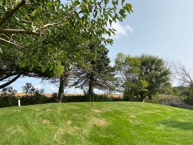 backyard - 7214 W Mineral Point Rd