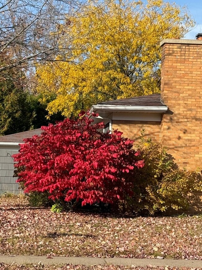 Building Photo - 3 Bed 1.5 Bath Single Family Home in Scholfield