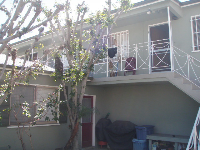 upper left unit- nestled in the trees - 2210 24th St