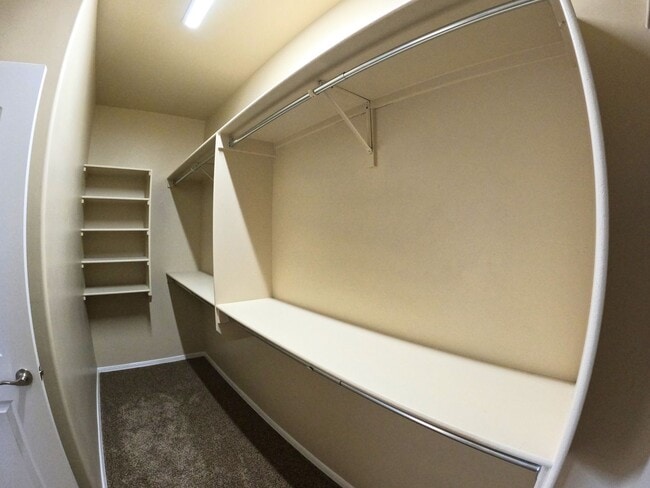 Building Photo - 7518 Sierra Bella Pl