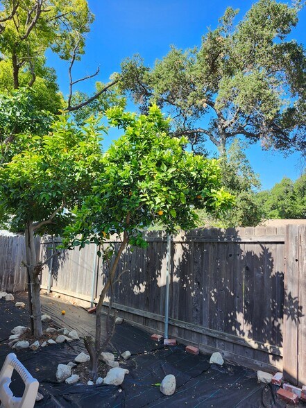 Building Photo - 2637 Altura Ave