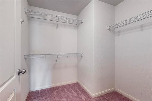 Building Photo - 10 Kramer Ct