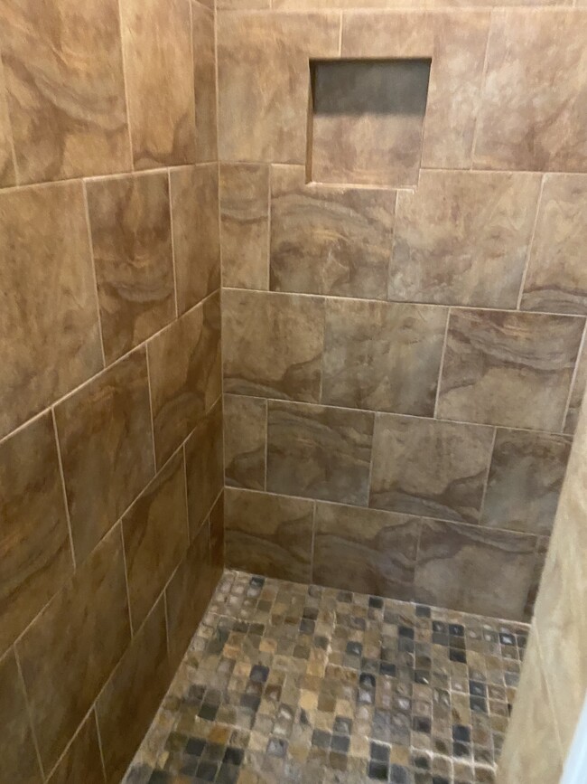 Spacious Primary Shower Entry - 1309 Ujamaa Dr