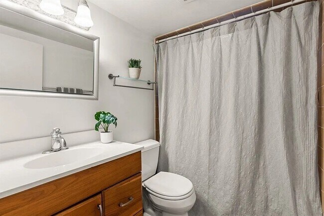 Building Photo - 334 Mystic St