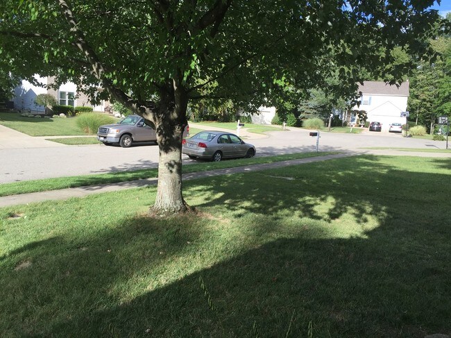 front door - 1343 Sprucewood Ct