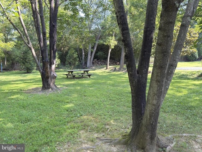 Building Photo - 35600 Sassafras Dr