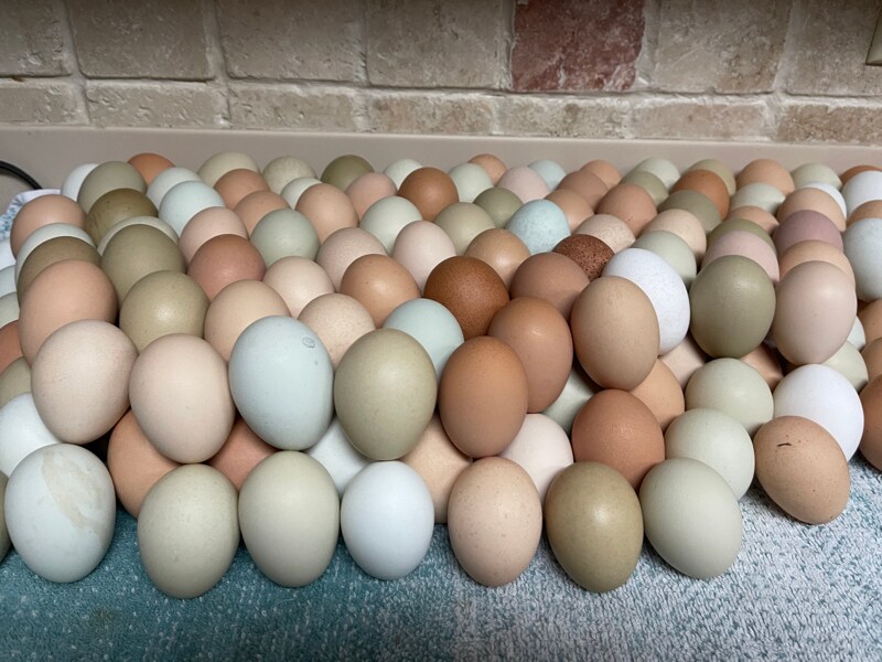 Building Photo - 2750 Lent Rd