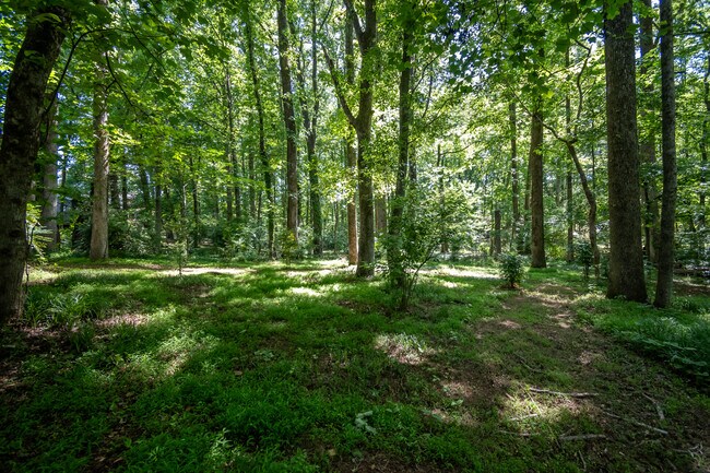 Building Photo - 1051 Crooked Creek Rd