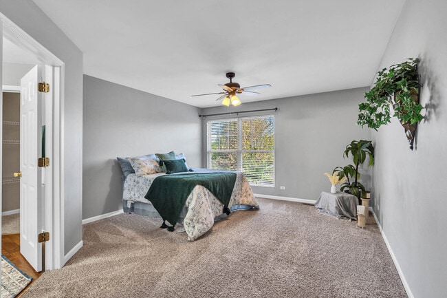 Building Photo - 4048 Boulder Ct