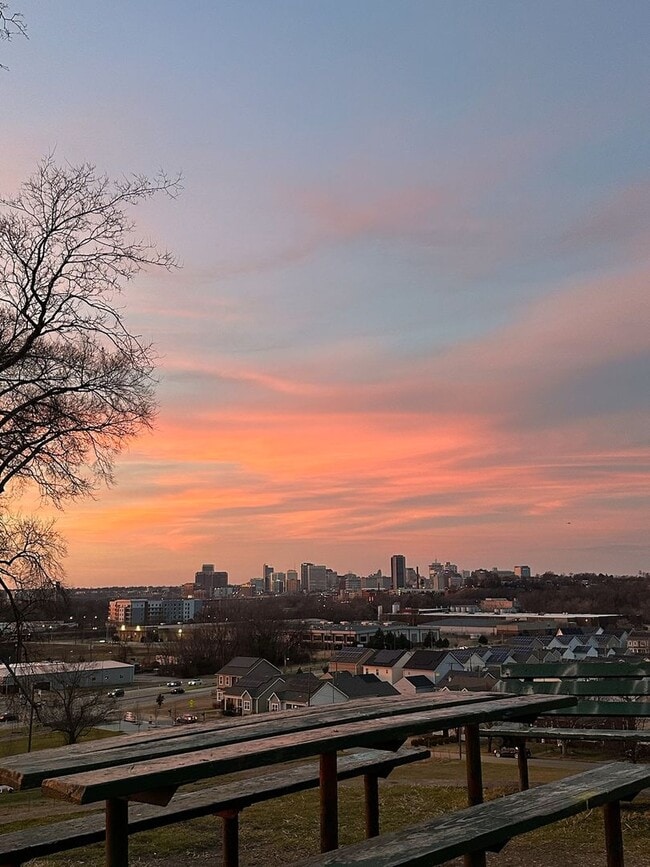 Building Photo - Gorgeous, New Home in Rocketts Landing: Available in July!