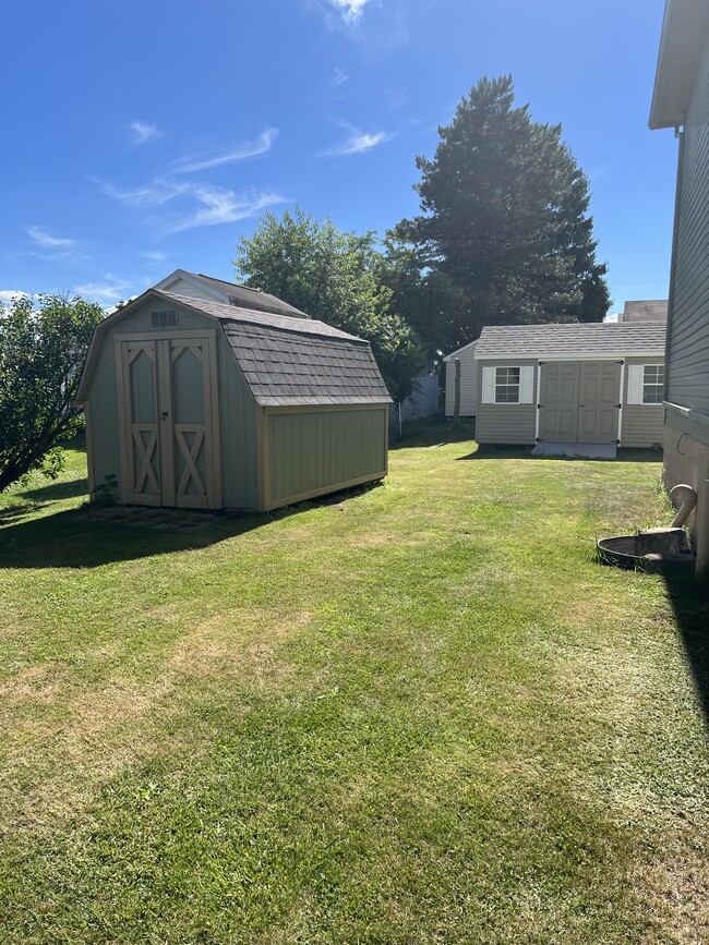 Side yard with storage sheds - 730 Clevio St