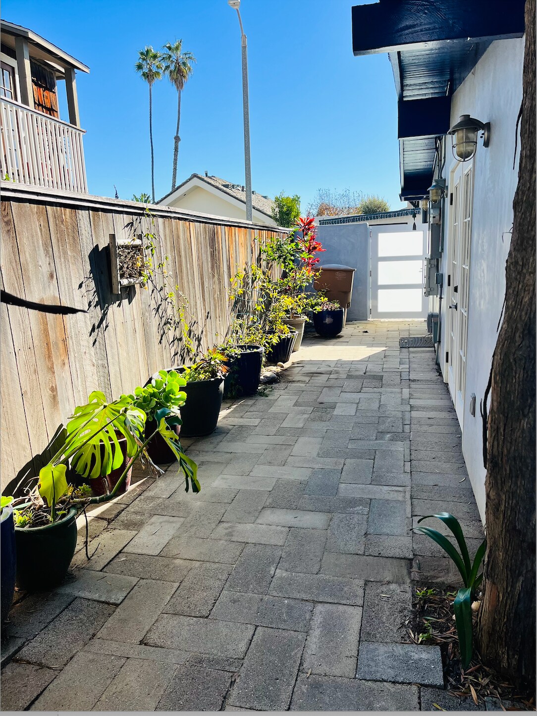 Side yard. - 1248 Marthas Vineyard Ct