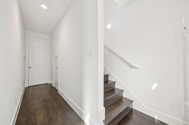 Building Photo - 3002 Zenia Dr