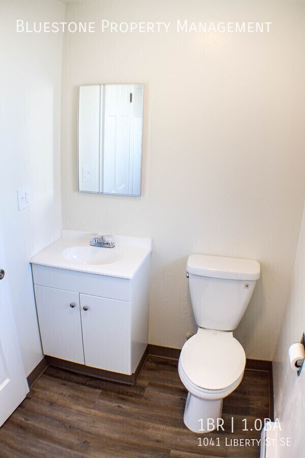 Building Photo - 1041 Liberty St SE