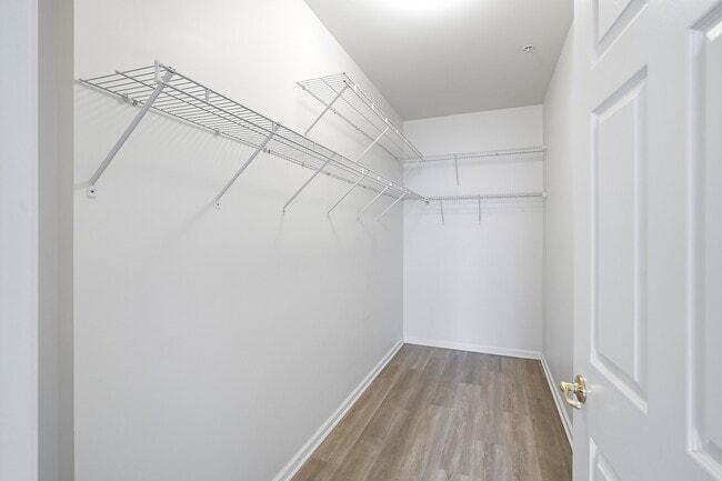 Building Photo - 313 Mill Pond Wy