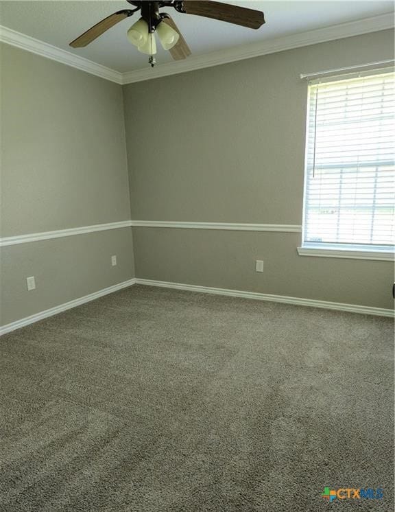 Building Photo - 706 Wagon Wheel Dr
