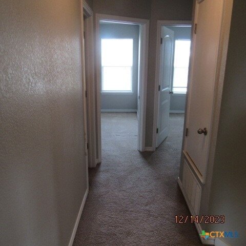 Building Photo - 1714 Risen Star Ln