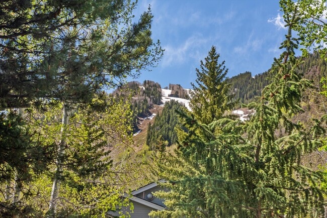 Building Photo - 124 W Hyman Ave