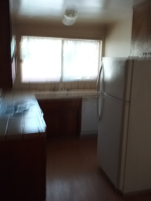 Building Photo - 651 Belladonna Ct